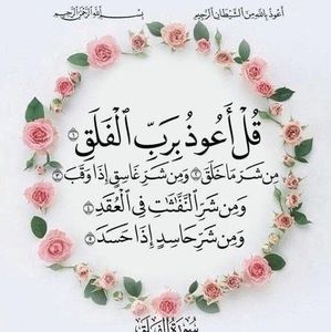 Meet your Posher, Amna